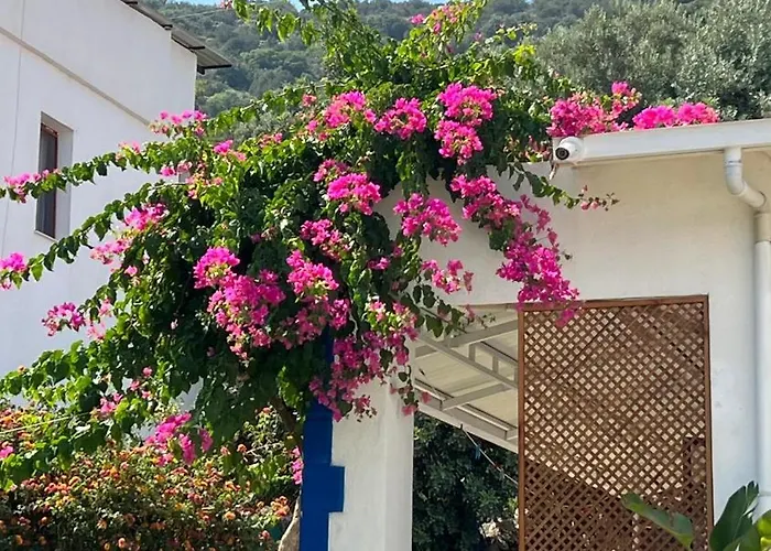 モーテル Yaliyani